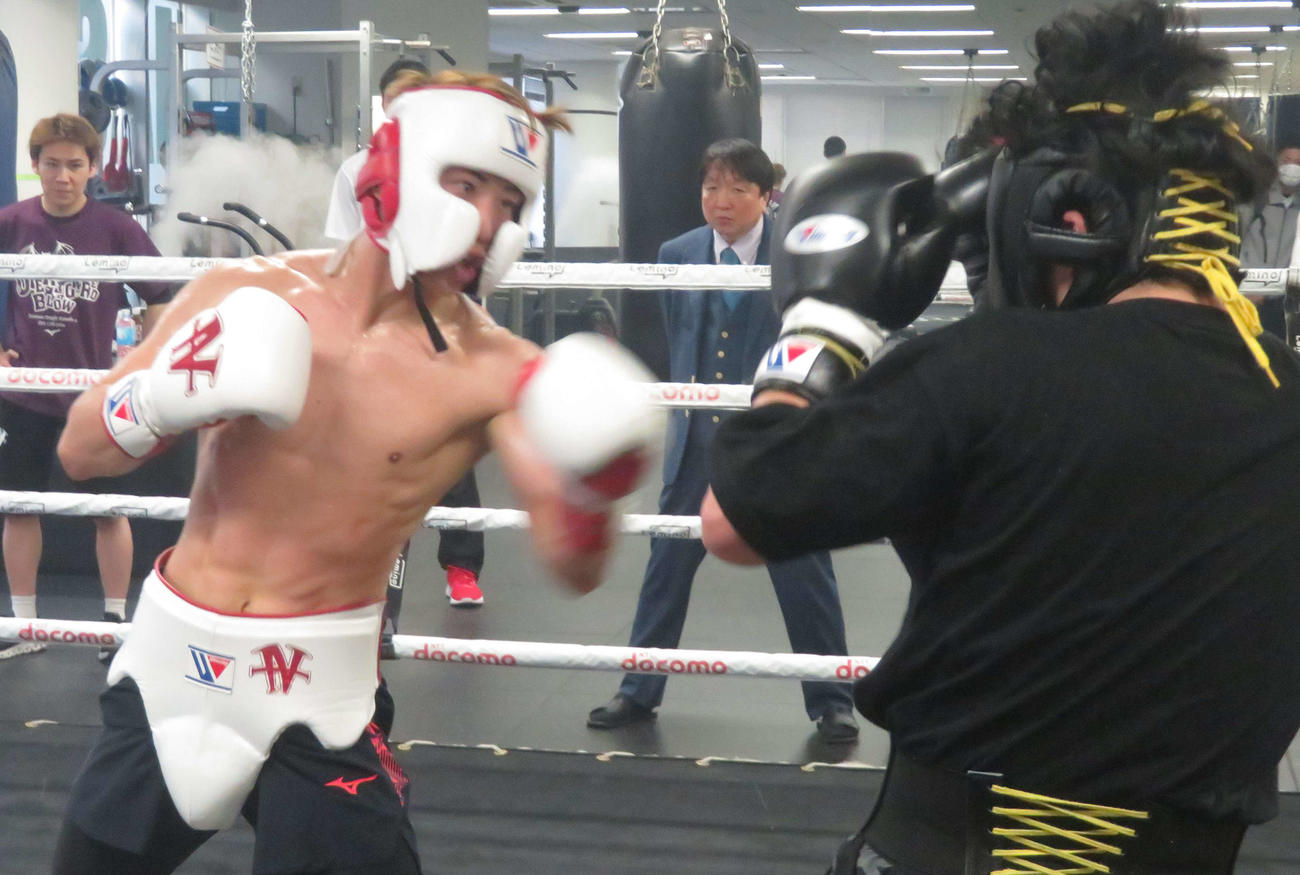 日本フェザー級12位高優（右）と6回のスパーリングを消化した井上尚