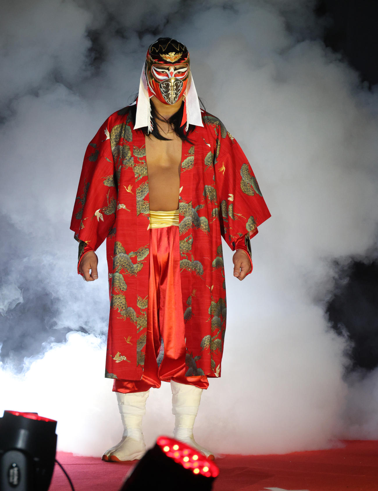 「LUCHA FIESTA ESPECIAL」に登場するハヤブサ（撮影・中島郁夫）