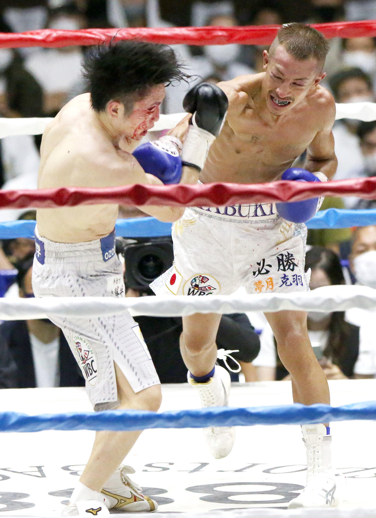 WBC世界ライトフライ級戦　9回、寺地（左）に強烈な右ストレートを見舞う矢吹（2021年9月22日撮影）
