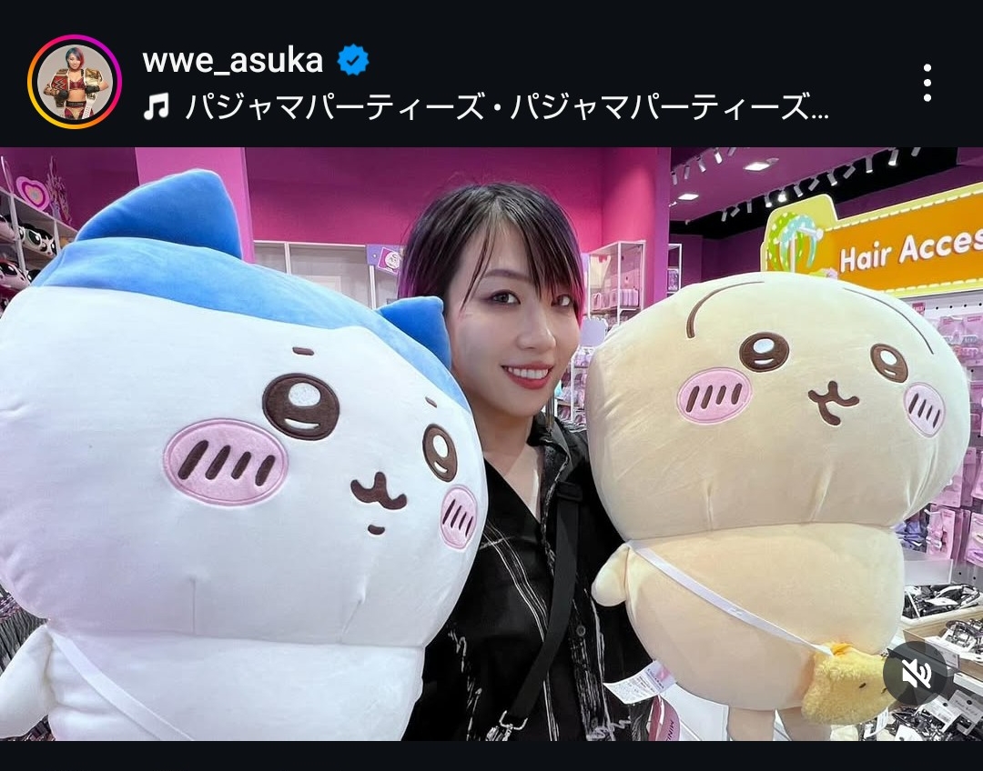人気漫画ちいかわの人気キャラとなるハチワレ（左端）、ウサギ（右端）のぬいぐるみと並ぶWWEアスカ（アスカ公式インスタグラムから）