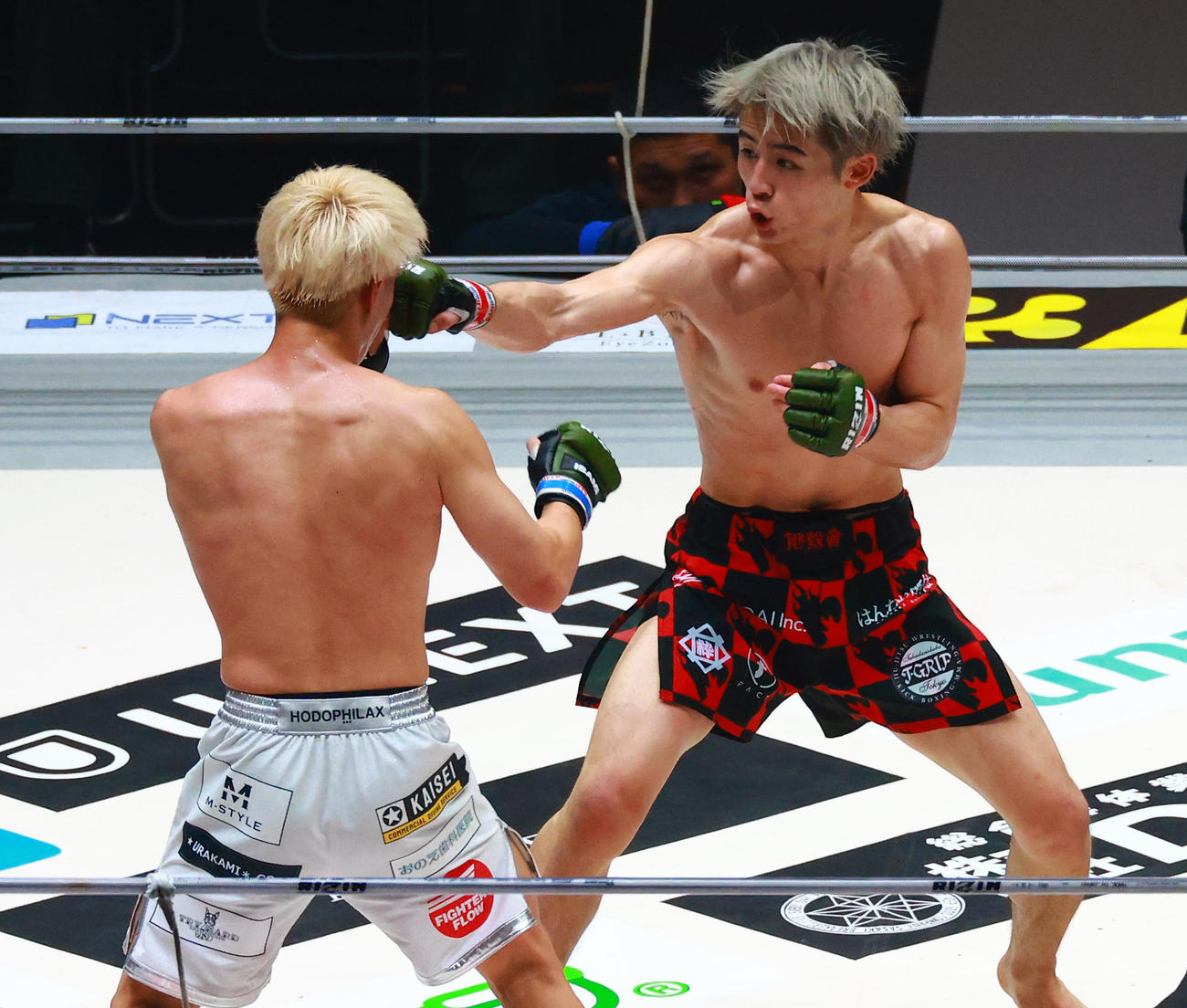 田丸（左）にパンチを浴びせる平本（撮影・中島郁夫）