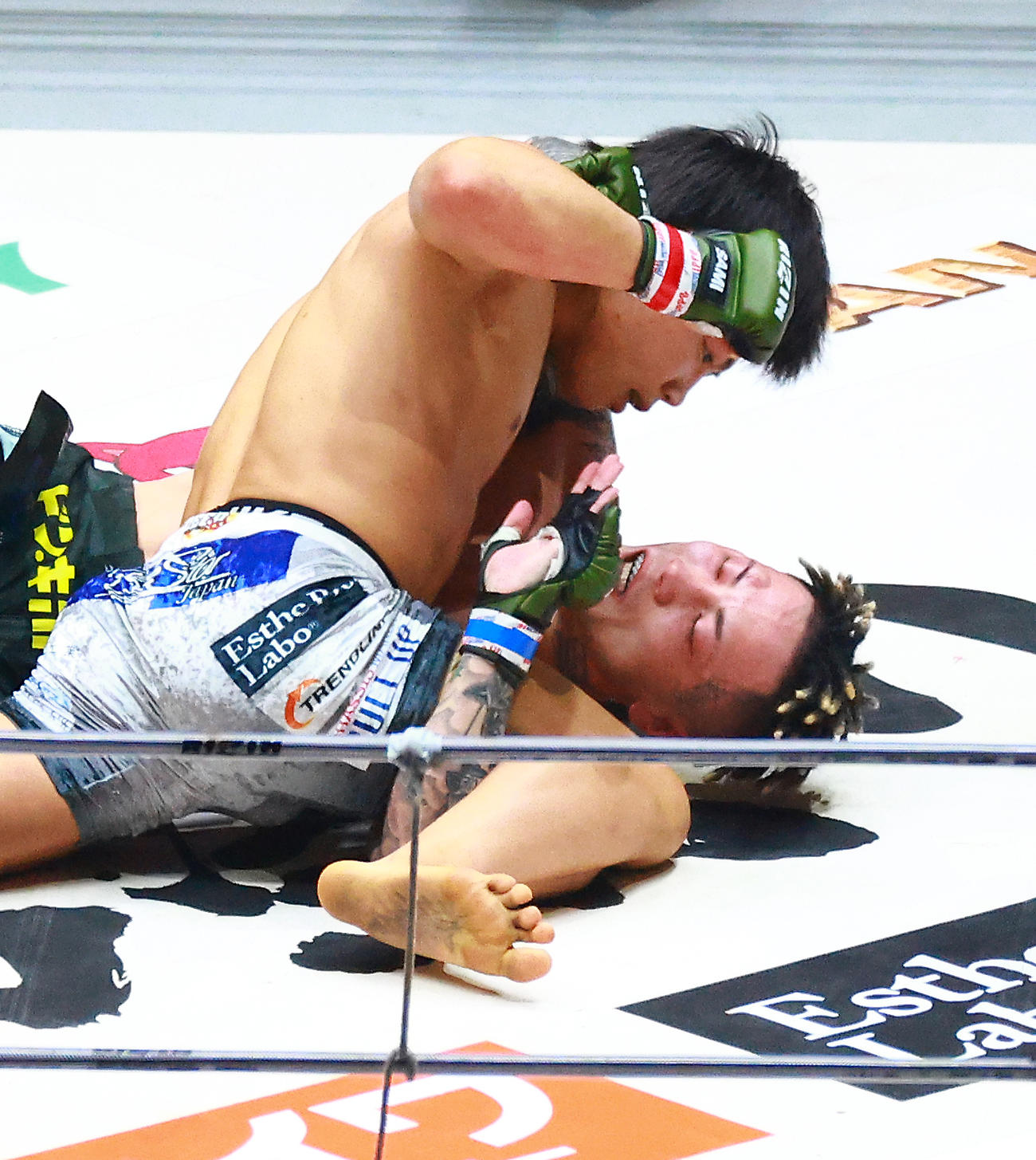 篠塚（下）にTKO勝ちしたヒロヤ（撮影・中島郁夫）