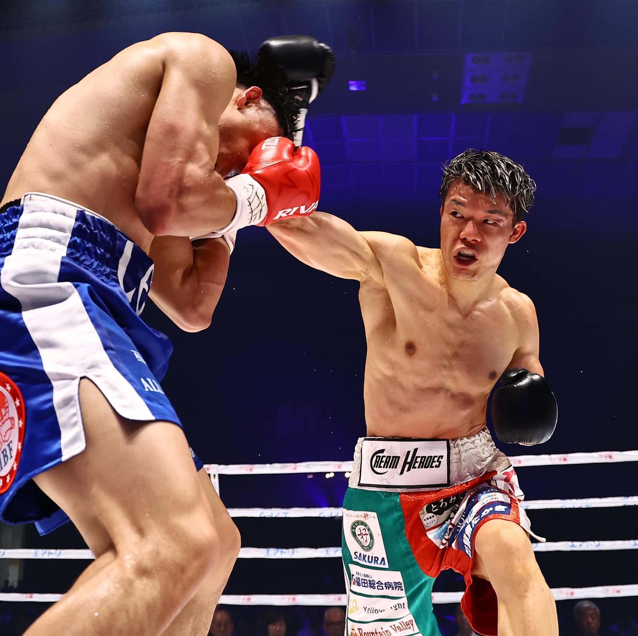 IBFフェザー級タイトルマッチ　アンジェロ・レオ（左）にパンチを見舞う亀田和毅（撮影・上田博志）
