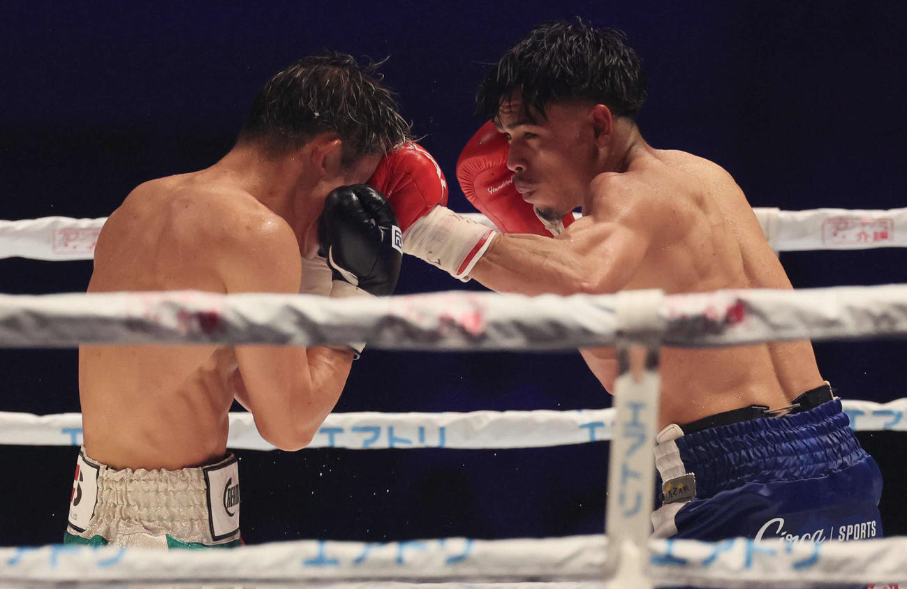 11R、アンジェロ・レオは亀田和毅の顔面をヒットする（撮影・宮崎幸一）
