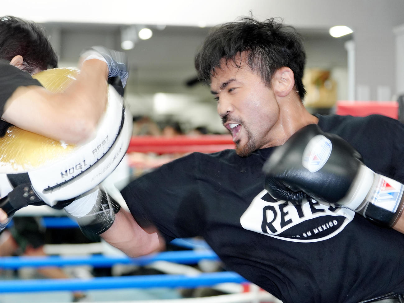 練習を公開し、ミット打ちをする比嘉（撮影・菅敏）