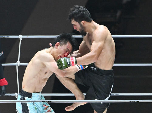 3回、アリベク・ガジャマトフ(右)は征矢に膝蹴りを見舞う(撮影・滝沢徹郎)