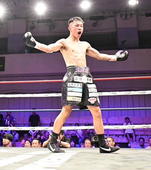ボクシング】高校6冠トップアマ斎藤麗王がWBO・APスーパーフェザー級