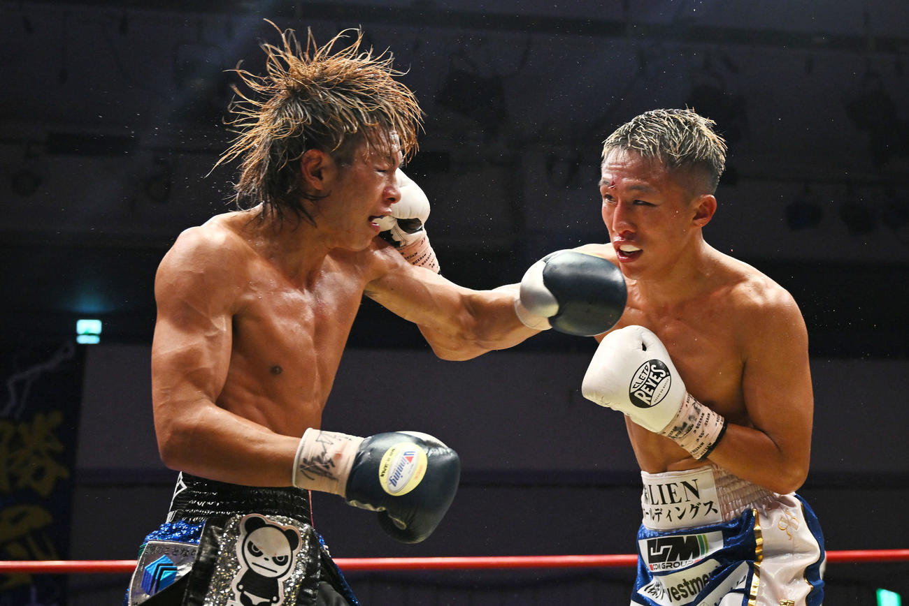12回、パンチを打ち合う波田（左）と神足（撮影・滝沢徹郎）