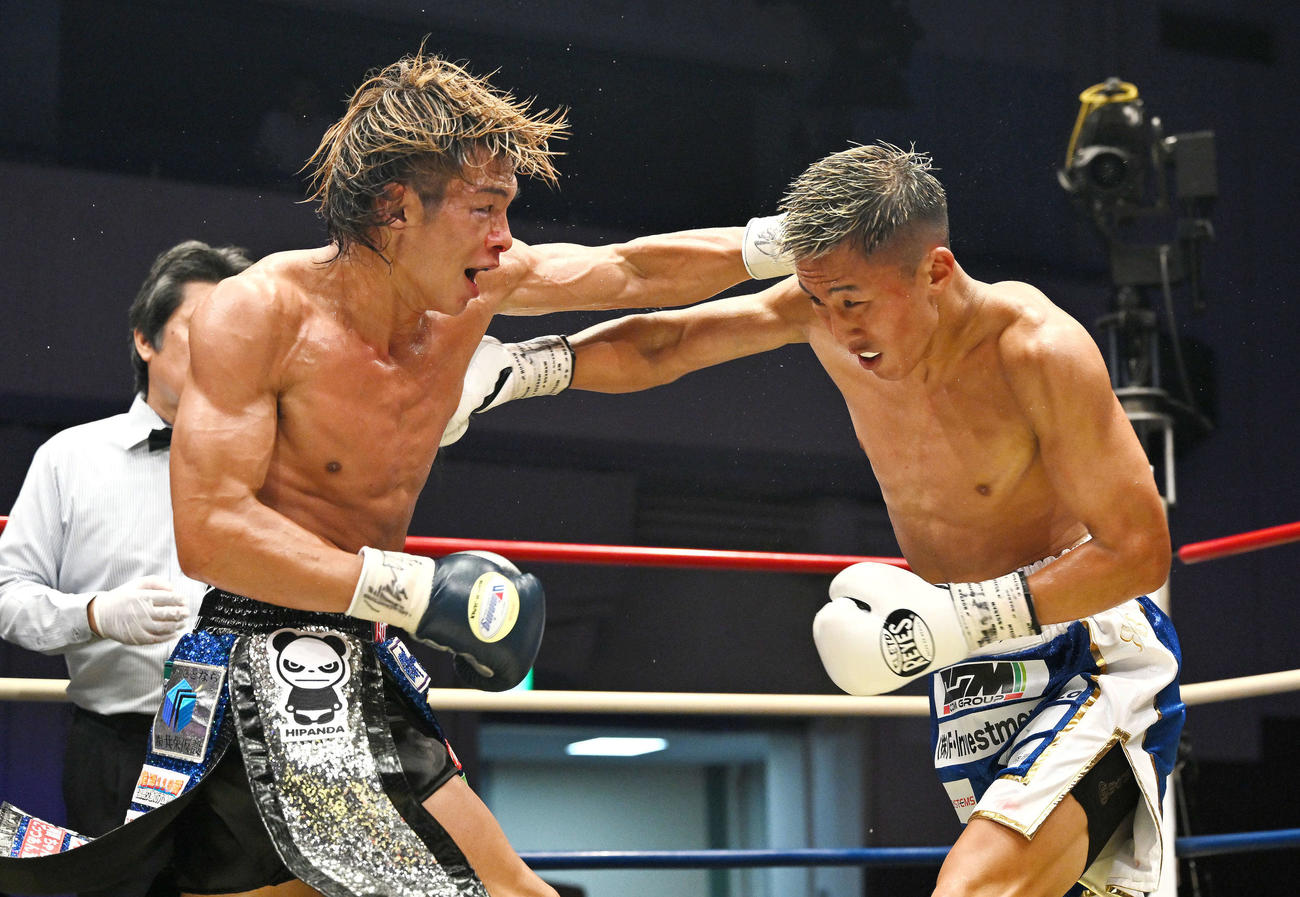7回、パンチを打ち合う波田（左）と神足（撮影・滝沢徹郎）