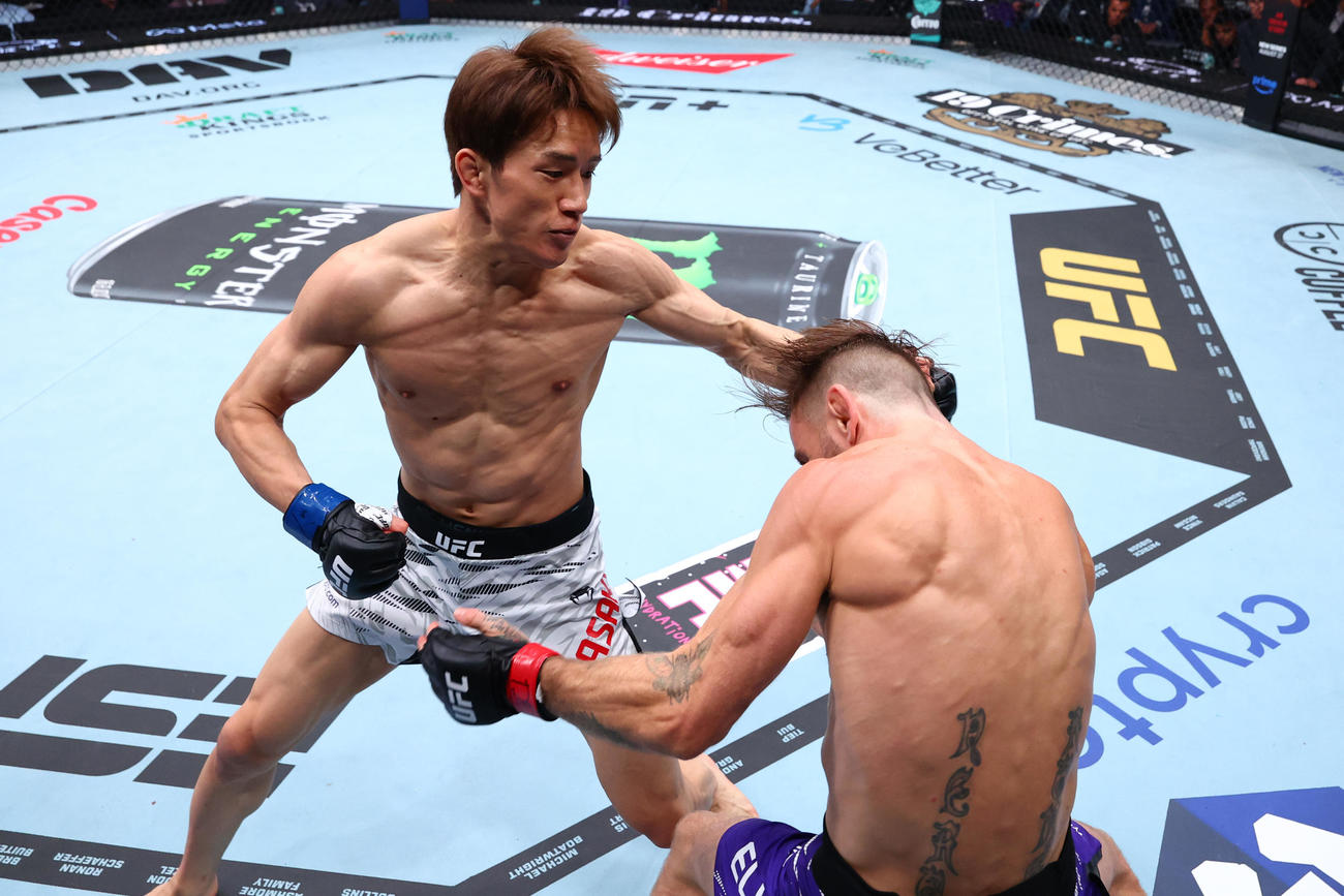 打撃でティム・エリオット（右）を攻め込む朝倉海（C）Zuffa LLC／UFC