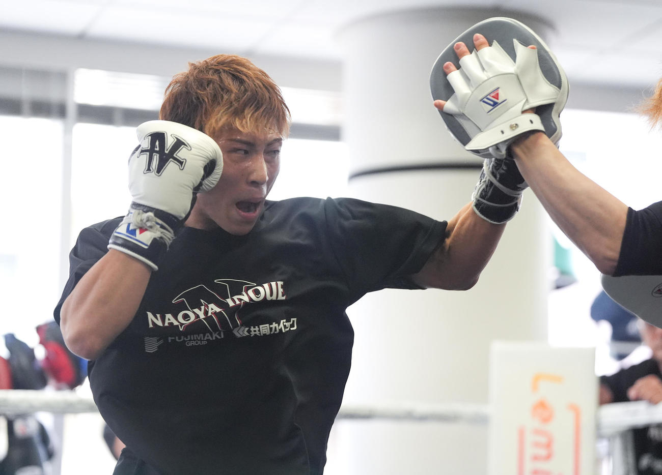 公開練習で汗を流す4団体統一スーパーバンタム級王者の井上尚（撮影・鈴木みどり）