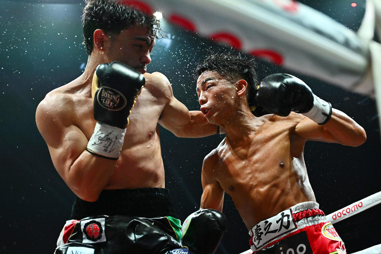 4回、打ち合う武居（右）とメディナ（撮影・滝沢徹郎）