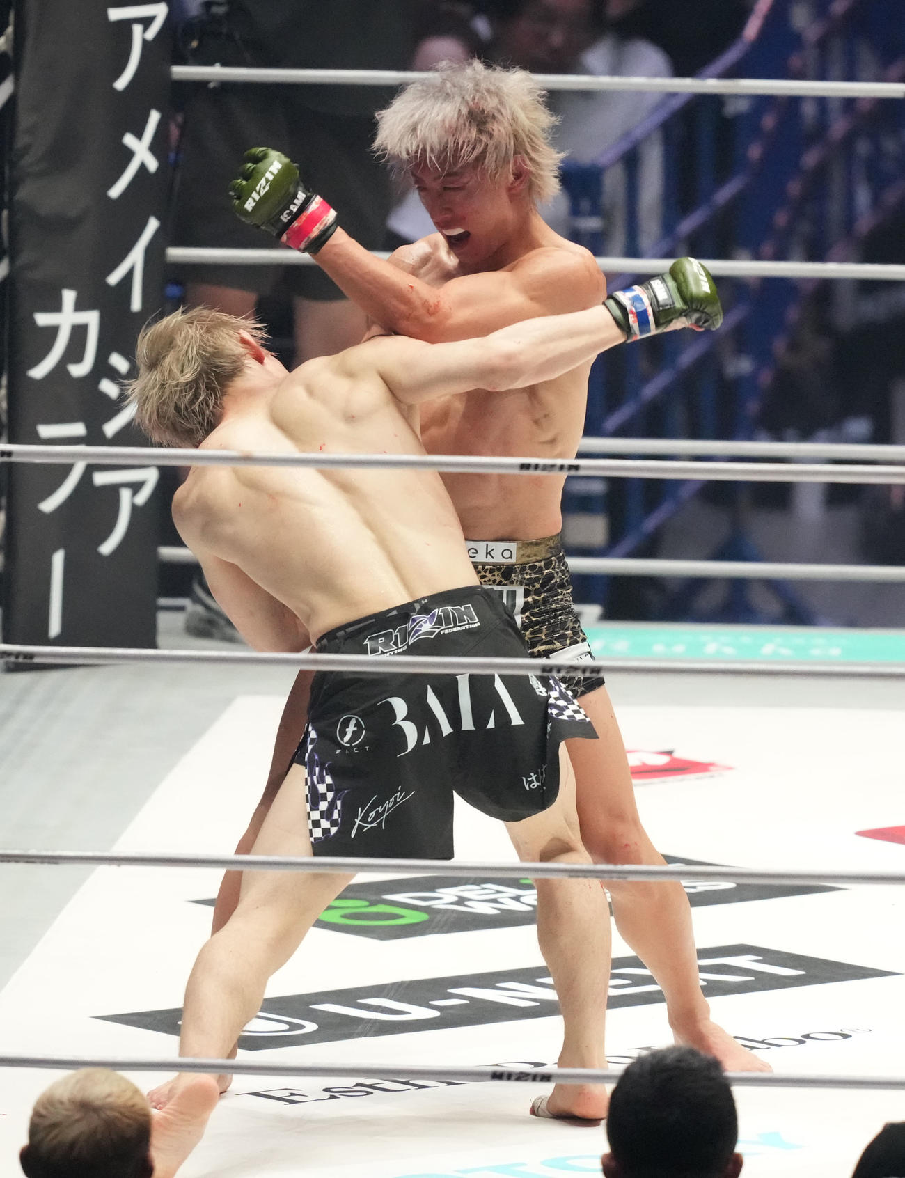 3回、冨沢（左）は平本にパンチを放つ（撮影・森本幸一）
