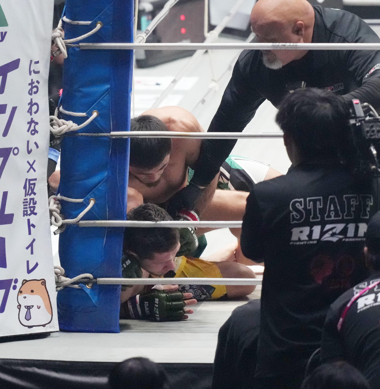 1回、シェイドゥラエフ（上）はコレスニックにパンチを浴びせTKO勝利する（撮影・森本幸一）