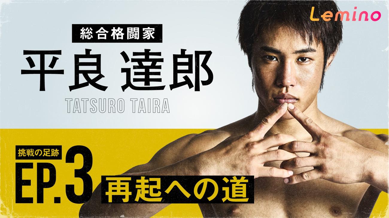 UFCフライ級5位平良達郎のドキュメンタリー番組がLeminoで配信中