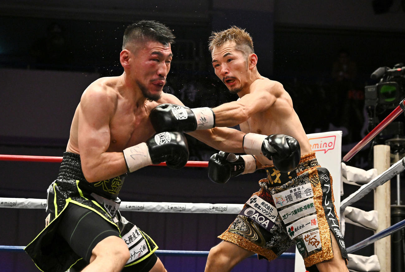8回、阿部（右）は殿本にパンチを打ち込む（撮影・滝沢徹郎）