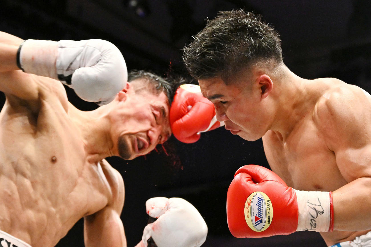 5回、田中（右）は坂井にパンチを打ち込む（撮影・滝沢徹郎）