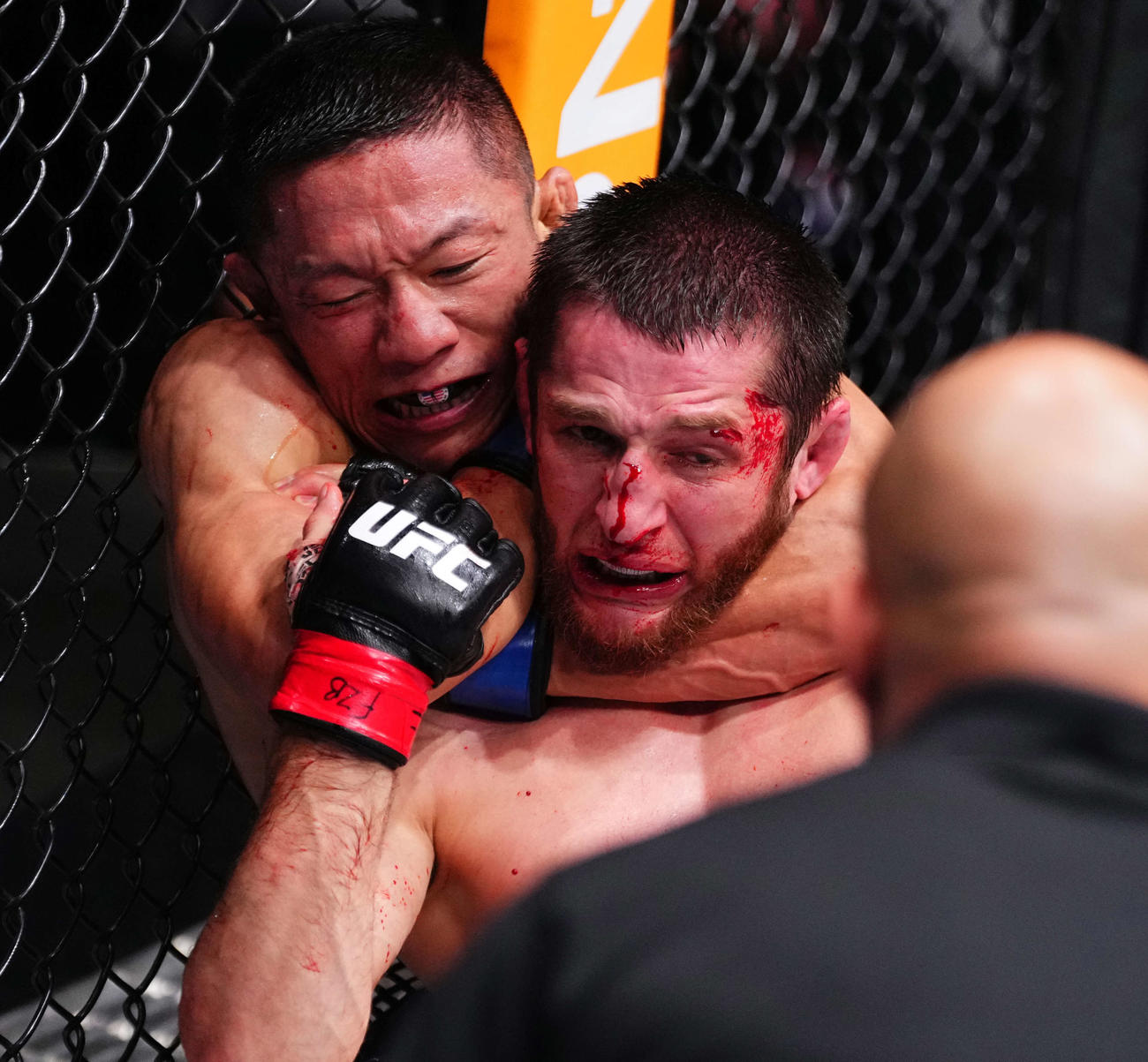 UFCフライ級11位タギル・ウランベコフ（手前）を裸絞めで追い詰める堀口恭司（C）Zuffa LLC／UFC