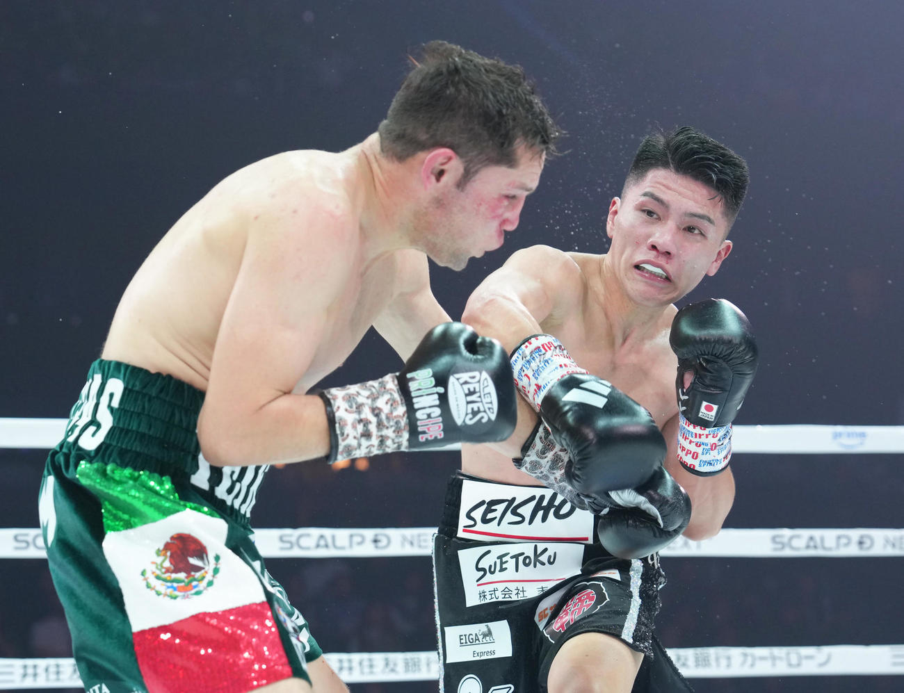 スーパーフライ級10回戦　4回、坪井の強烈な右を顔面に食らうクアドラス（撮影・足立雅史）