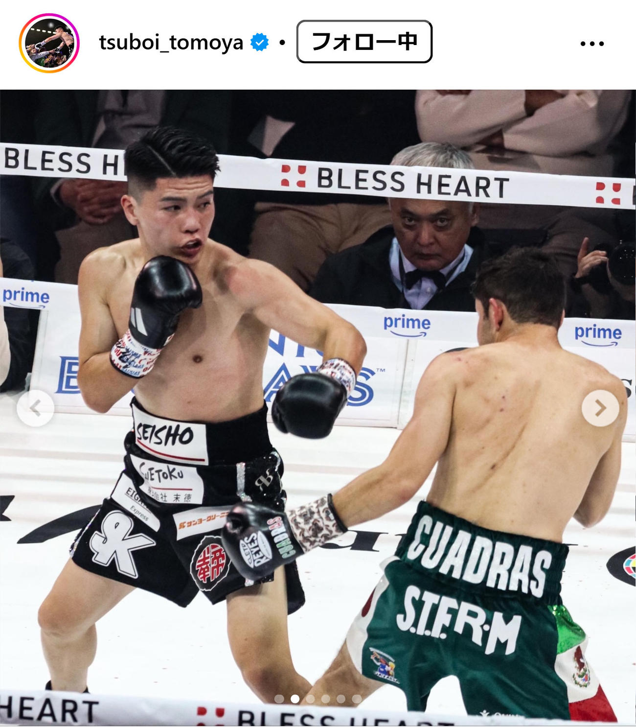 坪井智也のインスタグラムから