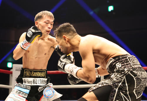 1回、競り合う堤（左）とドネア（撮影・宮地輝）