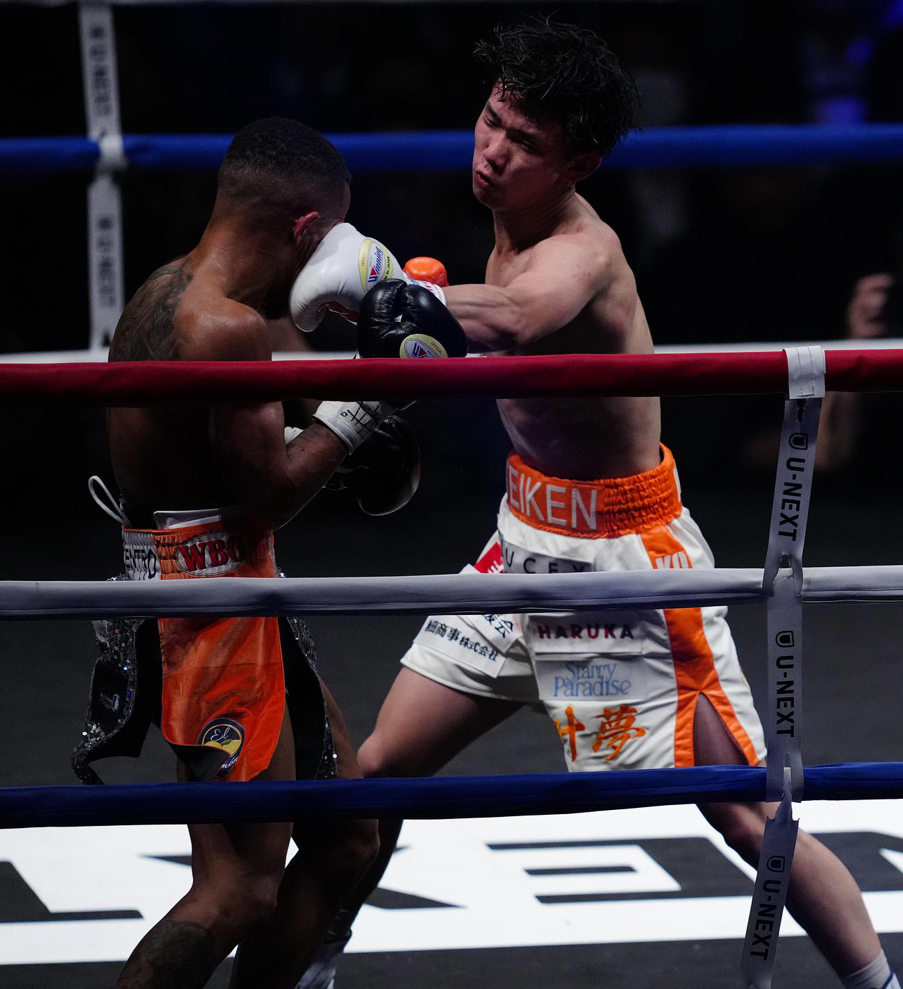 11回、サンティアゴ（左）を攻める高見（撮影・鈴木みどり）