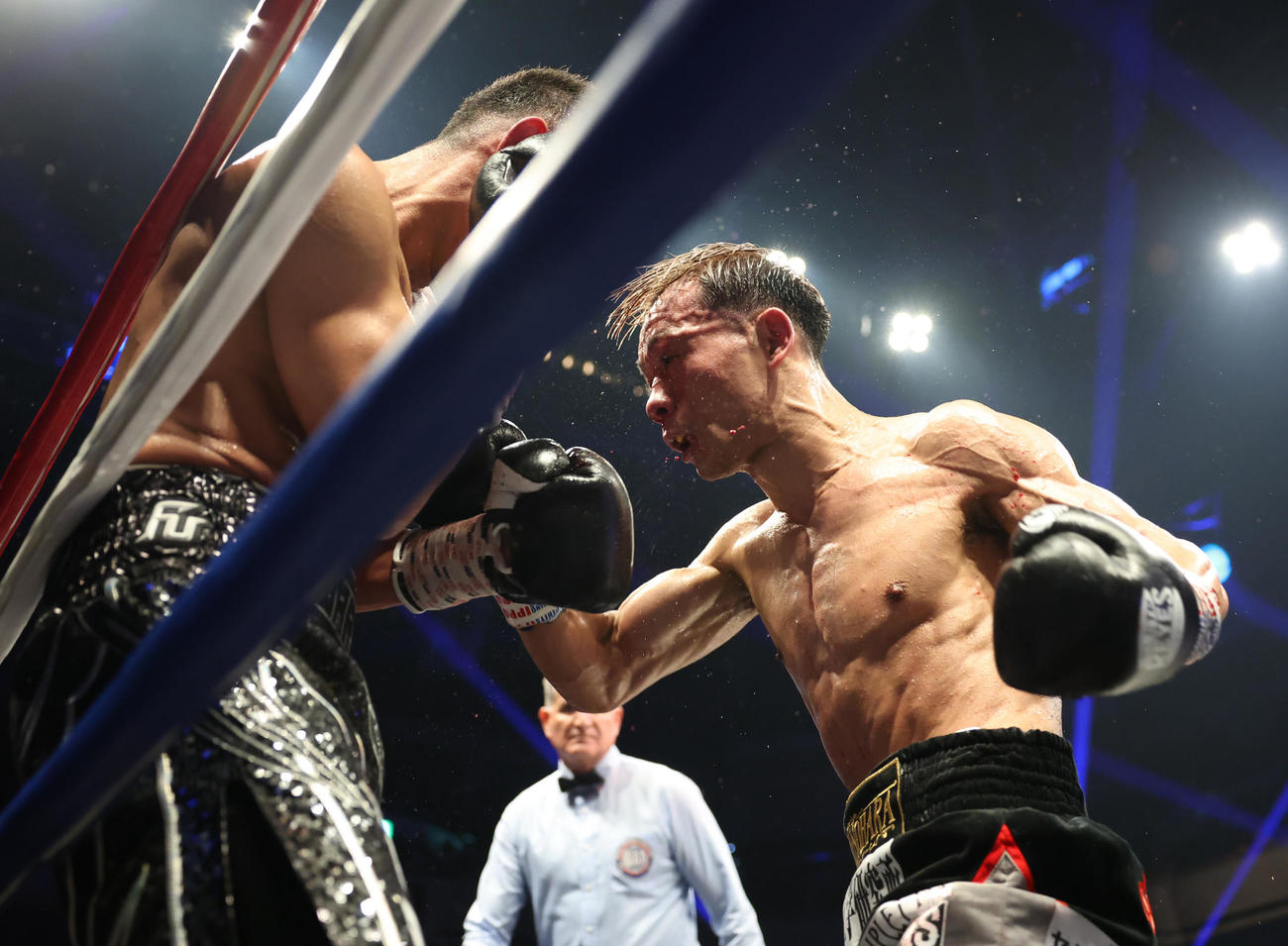 7回、堤（右）はドネアを激しく攻める（撮影・宮地輝）