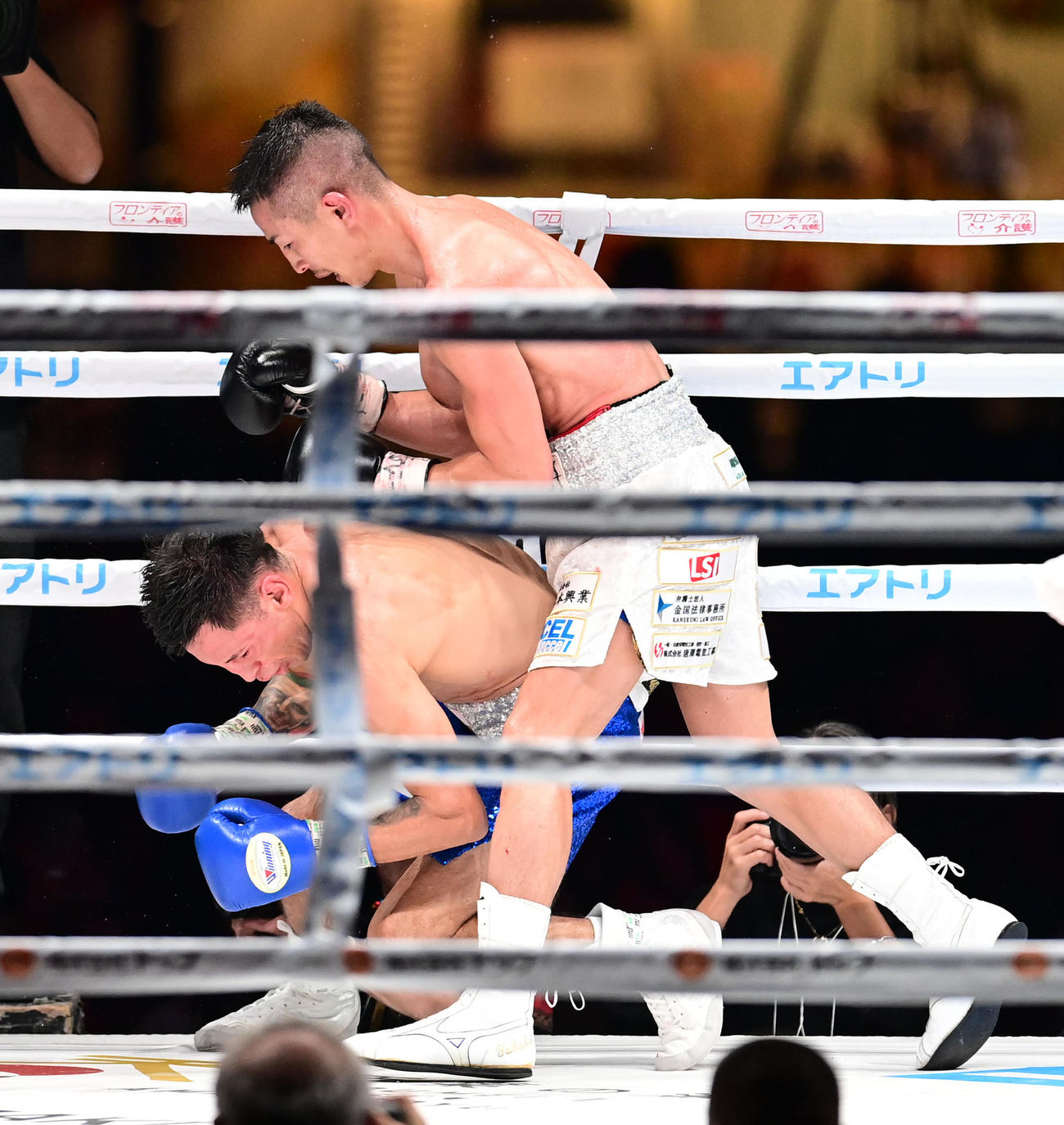 12回、矢吹（右）はアルバラードからダウンを奪う（撮影・森本幸一）