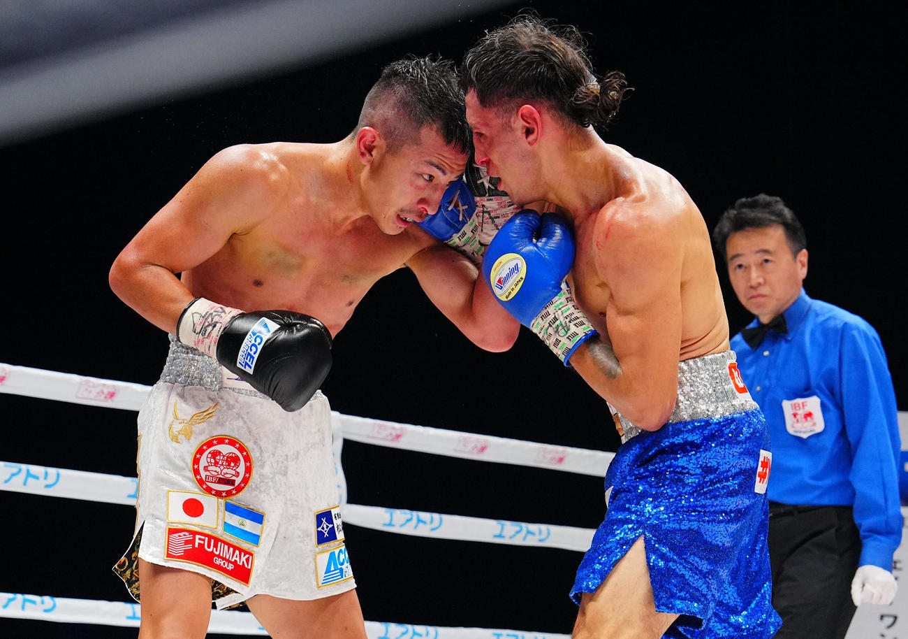 8回、打ち合う矢吹（左）とアルバラード（撮影・垰建太）