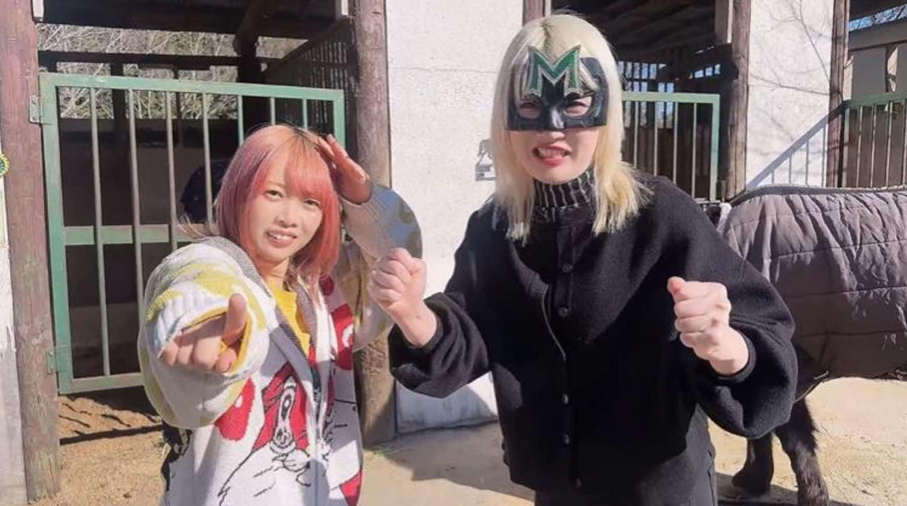 中島翔子とハイパーミサヲが有馬記念を予想した（ミサヲのXから）