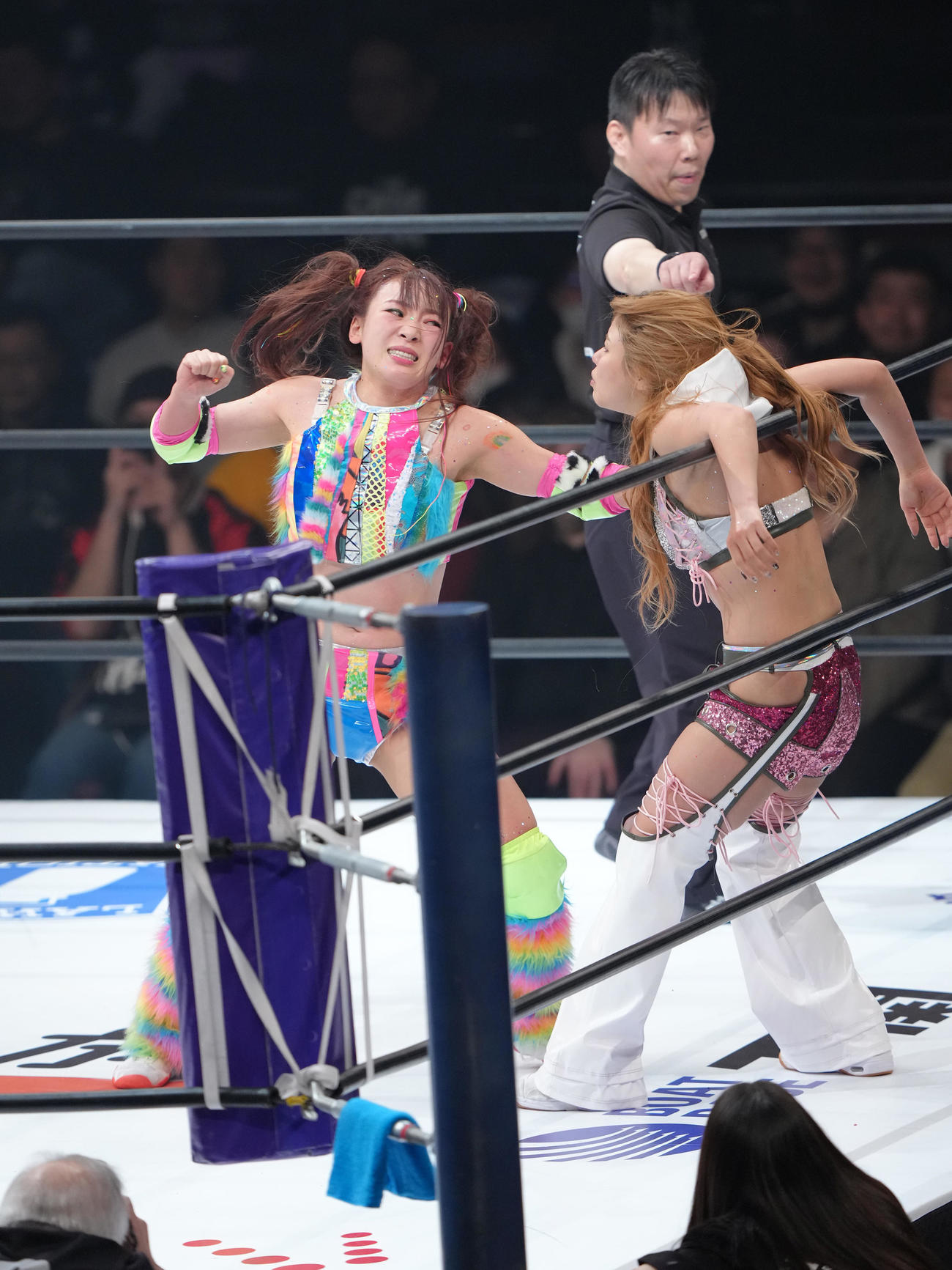 フワちゃん再デビュー戦　フワちゃん（左）は葉月を攻める（撮影・足立雅史）