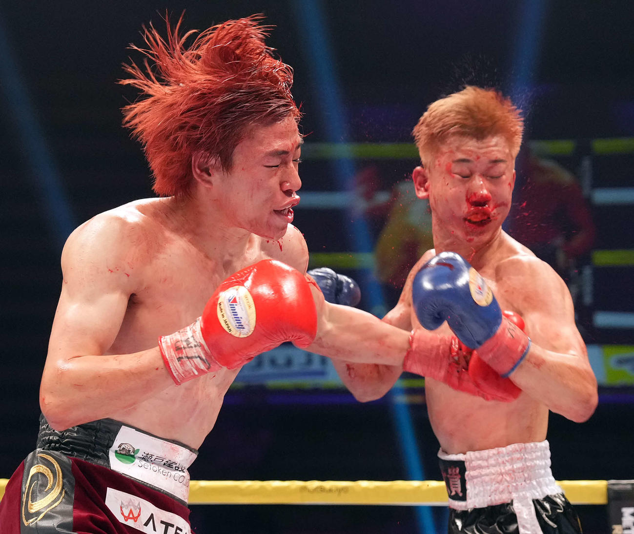 6回、倉持（右）にパンチを見舞う菊池（撮影・たえ見朱実）