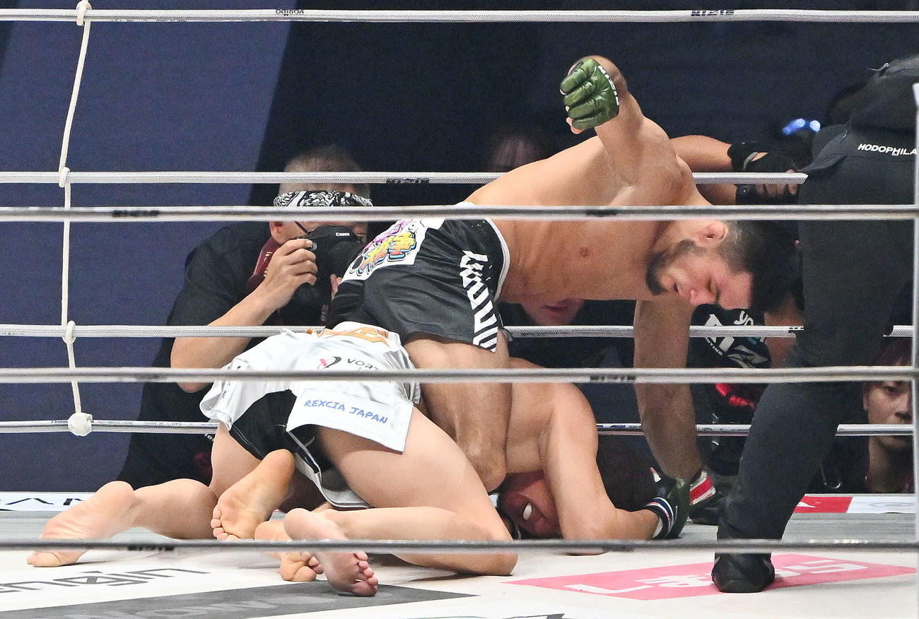 1回、ラジャブアリ・シェイドゥラエフ（上）は朝倉未来にパンチを落とす（撮影・滝沢徹郎）