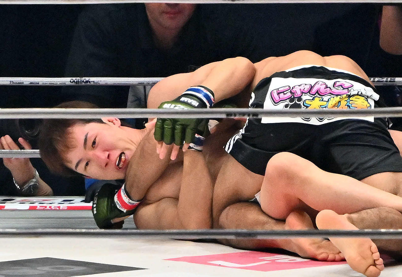 1回、ラジャブアリ・シェイドゥラエフ（上）に攻められ厳しい表情の朝倉未来（撮影・滝沢徹郎）