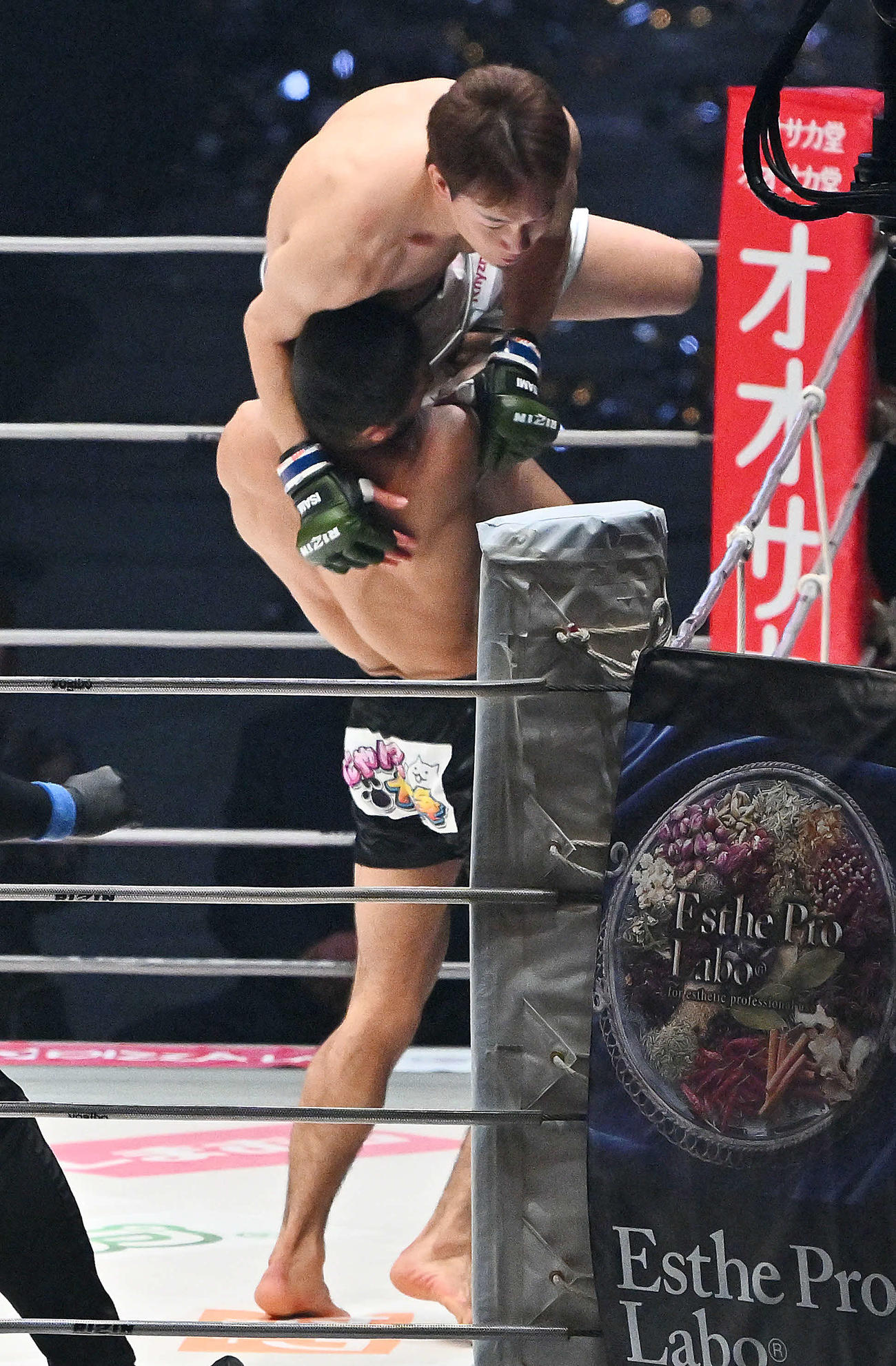 1回、ラジャブアリ・シェイドゥラエフ（下）に投げられる朝倉未来（撮影・滝沢徹郎）