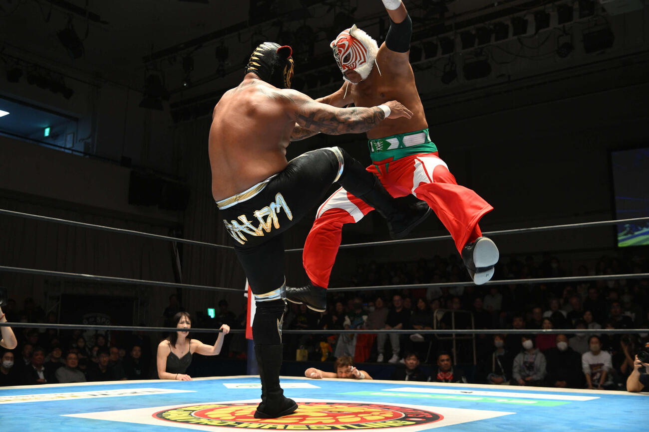 タイガーマスクの股間を蹴り上げたマグヌス（C）新日本プロレス