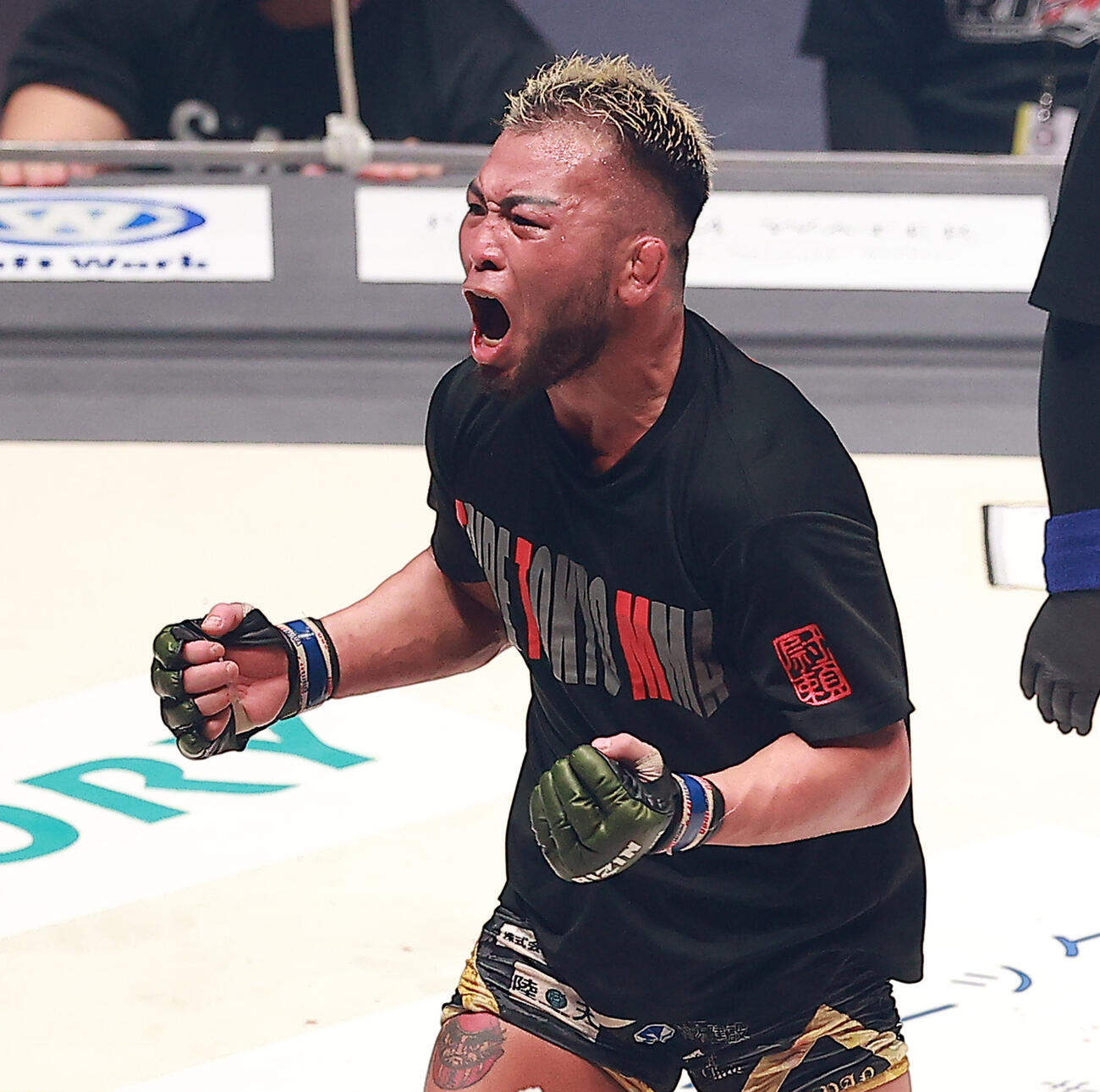 コレスニックに判定勝ちし雄たけびを上げる武田（撮影・中島郁夫）