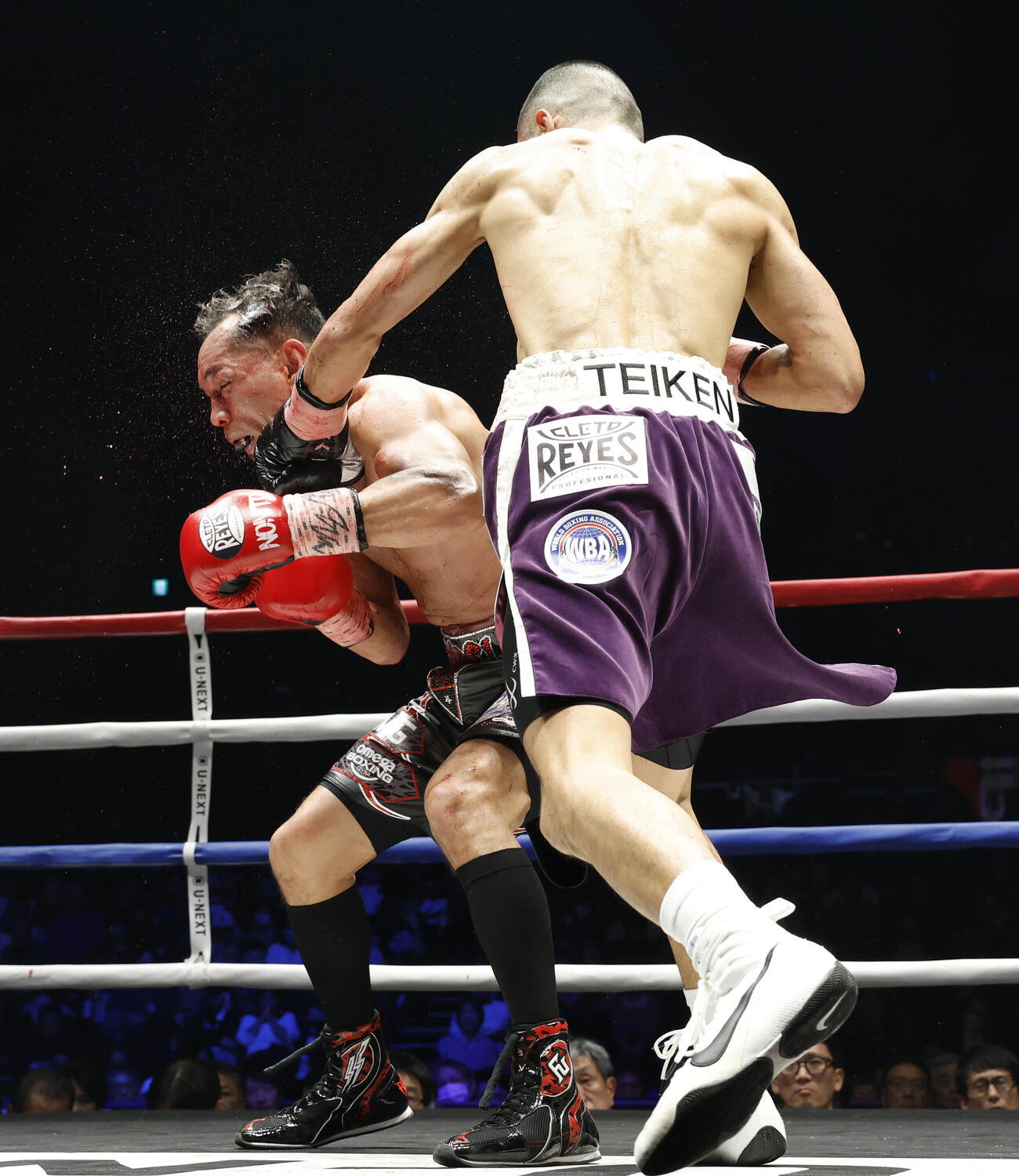 7回、ドネア（左）からダウンを奪う増田（撮影・山本朝陽）