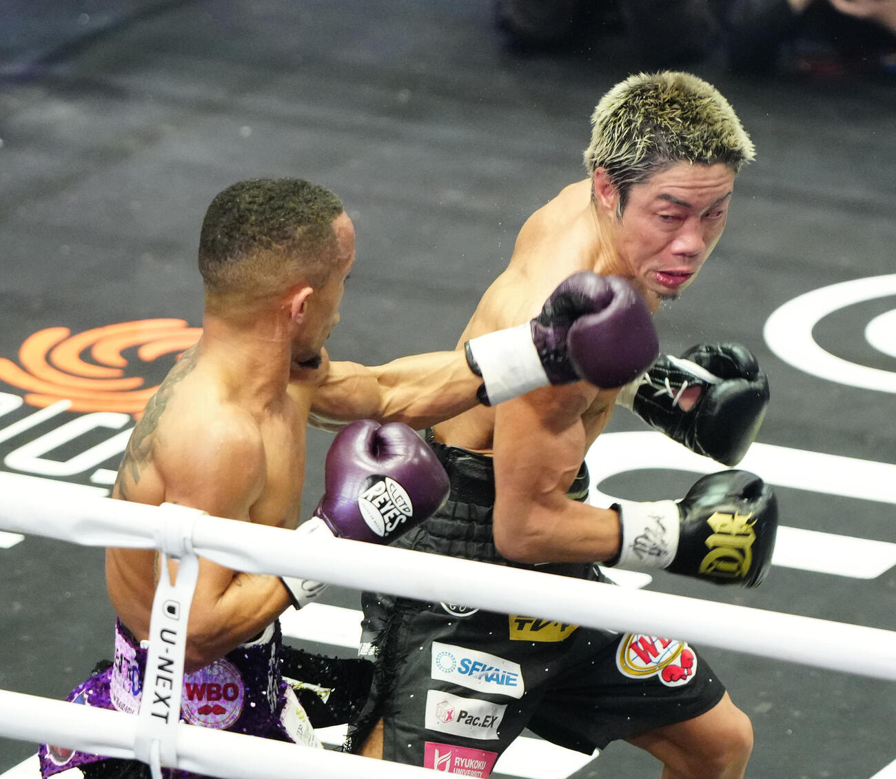 5回、サンティアゴ（左）のパンチを食らう谷口（撮影・江口和貴）
