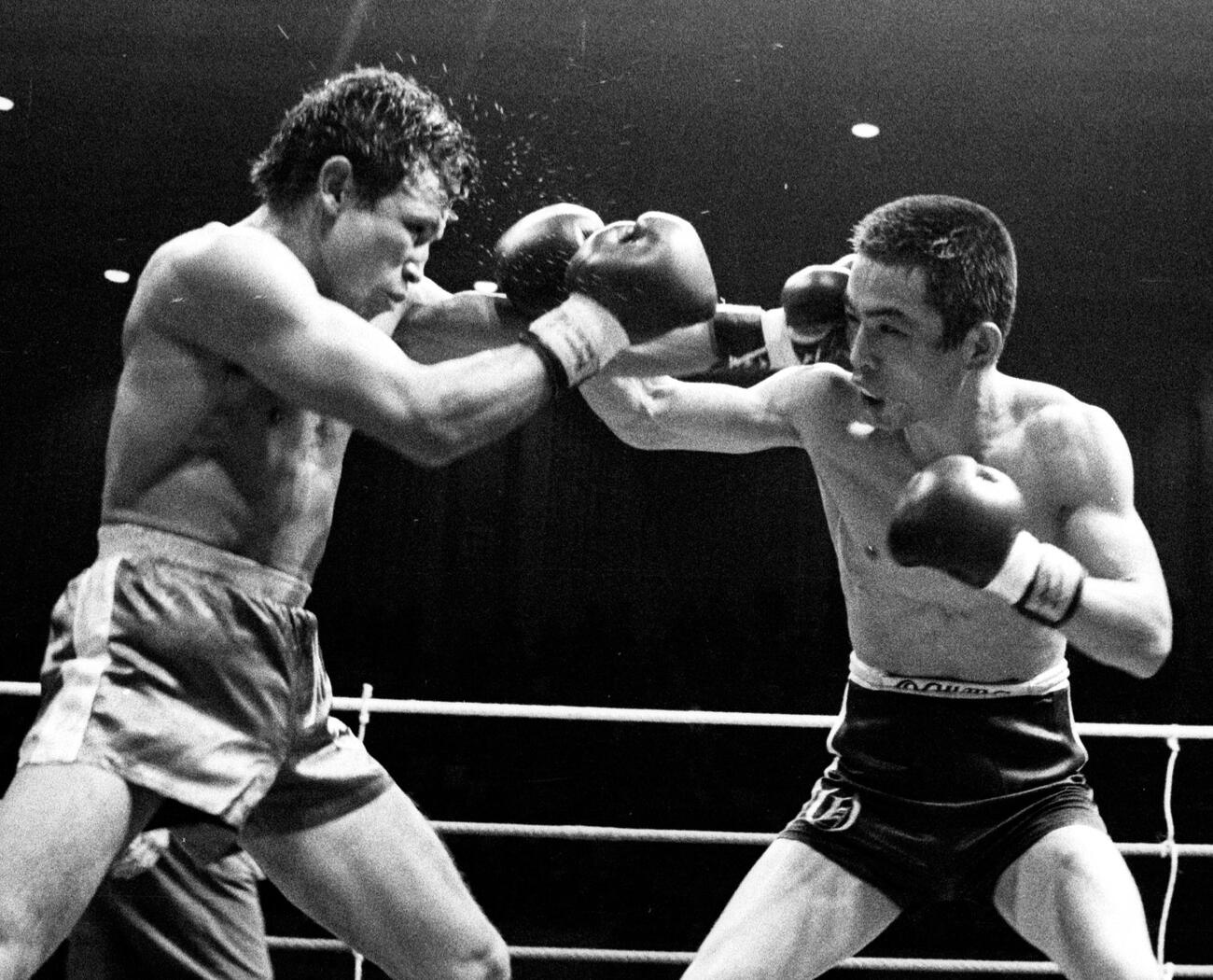 WBC世界フライ級タイトルマッチ　ミゲル・カント対小熊正二　死闘を演じるミゲル・カント氏（左）と小熊正二（1978年1月4日）