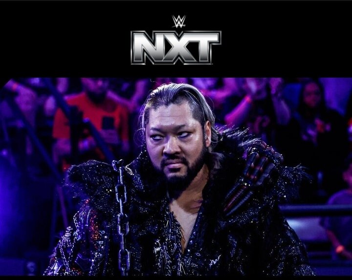 WWE第3の団体、NXTでWWEデビューを果たした元新日本プロレスのEVIL（WWE公式サイトから）