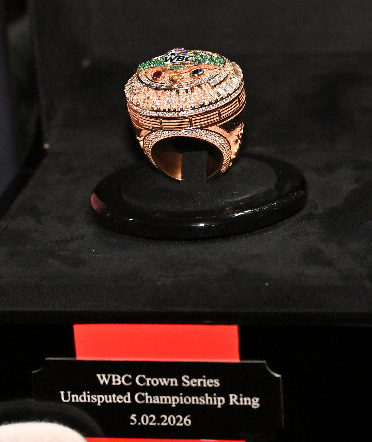 WBCクラウンシリーズ統一王座リング（撮影・滝沢徹郎）