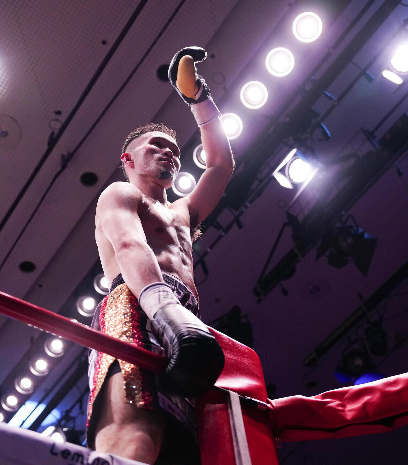 日本スーパーバンタム級タイトルマッチ10回戦　大嶋剣心に7回TKO勝ちし、コーナーに登りガッツポーズする池側純（撮影・鈴木みどり）