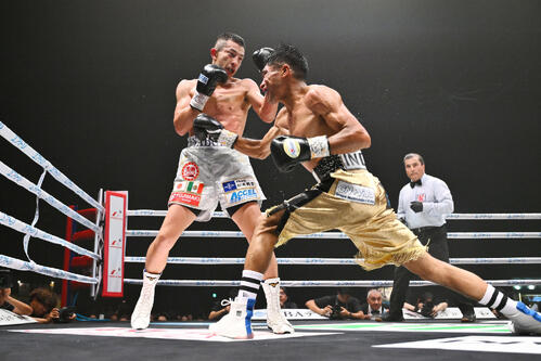 IBF世界フライ級タイトルマッチ 矢吹正道対レネ・カリスト 8回、矢吹正道(左)はレネ・カリストにパンチを打ち込む(撮影・滝沢徹郎)