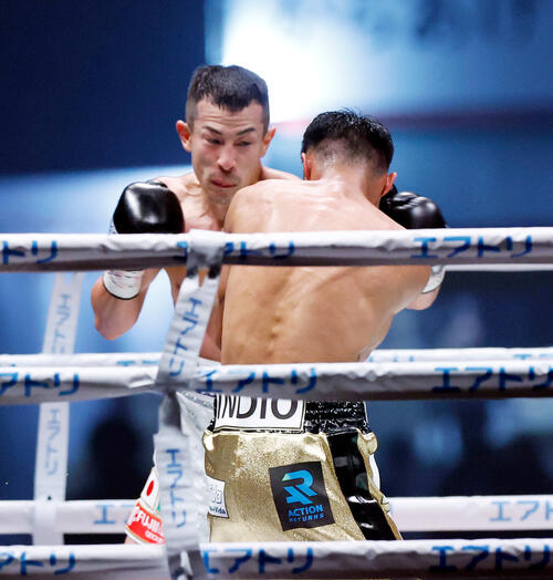 IBF世界フライ級タイトルマッチ 矢吹正道対レネ・カリスト 4回、パンチを打ち込む矢吹正道(左)(撮影・山本朝陽)