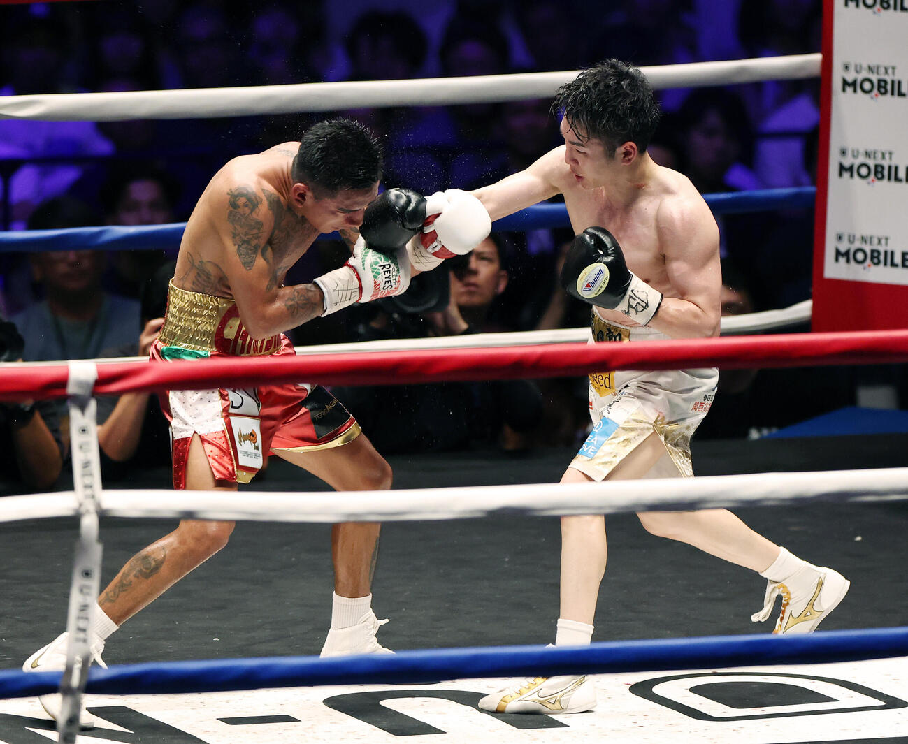 WBO世界スーパーフライ級王座決定戦　11回、イスラエル・ゴンサレス（左）にパンチを打ち込む寺地拳四朗（撮影・宮地輝）