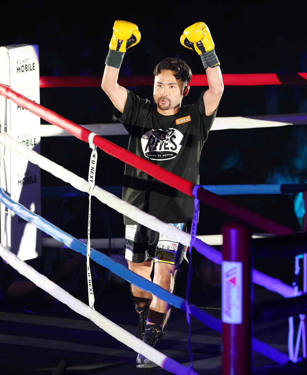 WBA世界バンタム級王座決定戦　リングインした比嘉大吾（撮影・宮地輝）