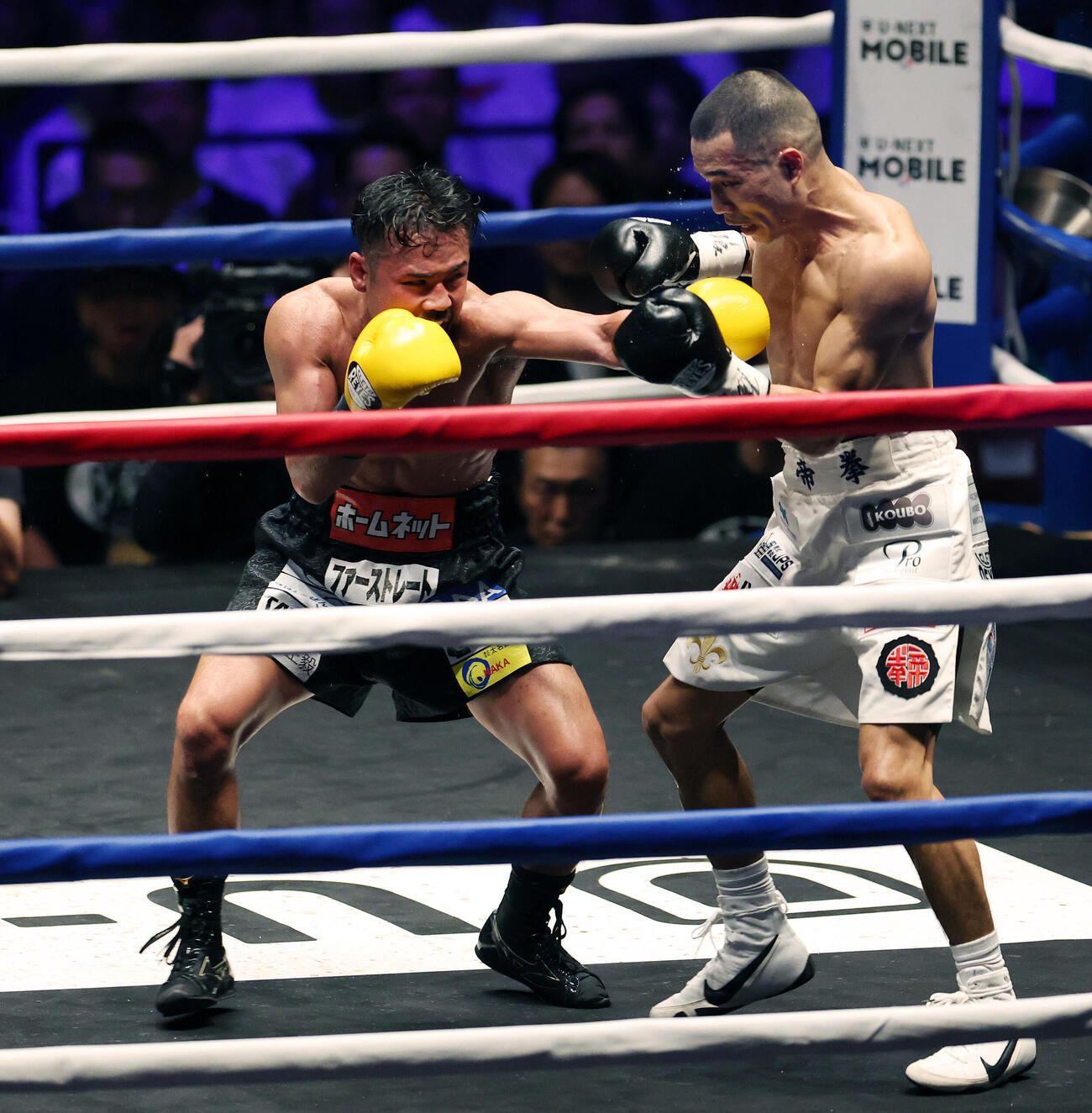 WBA世界バンタム級王座決定戦　6回、増田陸（右）にパンチを打ち込む比嘉大吾（撮影・宮地輝）