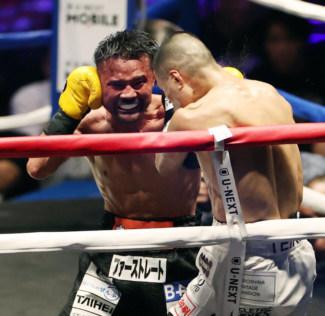 WBA世界バンタム級王座決定戦　6回、増田陸（右）にパンチを打ち込む比嘉大吾（撮影・宮地輝）