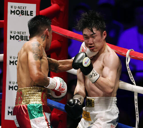 WBO世界スーパーフライ級王座決定戦 9回、イスラエル・ゴンサレス(左)にパンチを浴びる寺地拳四朗(撮影・宮地輝)